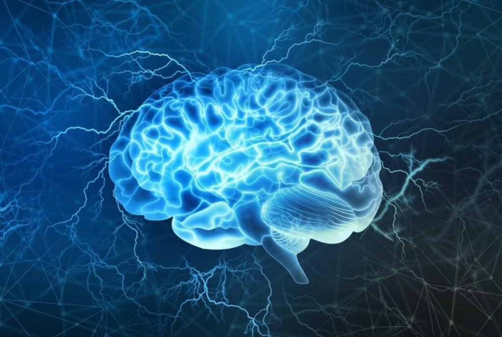 neurony lustrzane